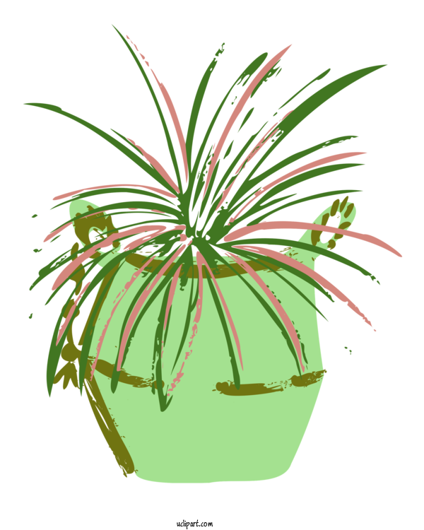 Free Nature Palm Trees Plant Stem Flower For Plant Clipart Transparent Background
