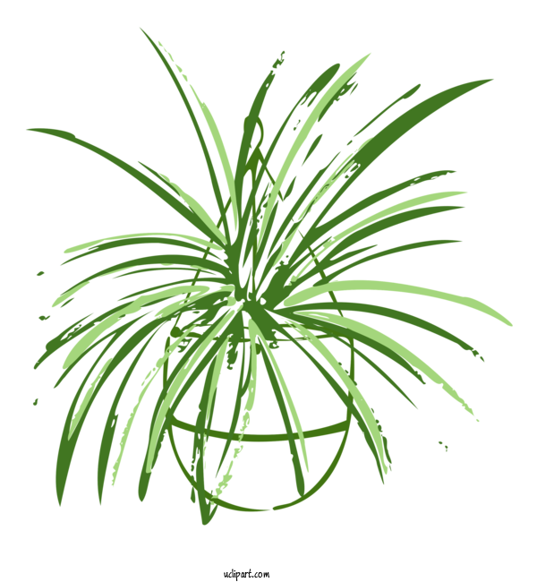 Free Nature Leaf Palm Trees Plant Stem For Plant Clipart Transparent Background