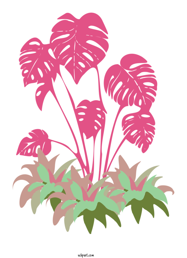 Free Nature Leaf Floral Design Plant Stem For Plant Clipart Transparent Background