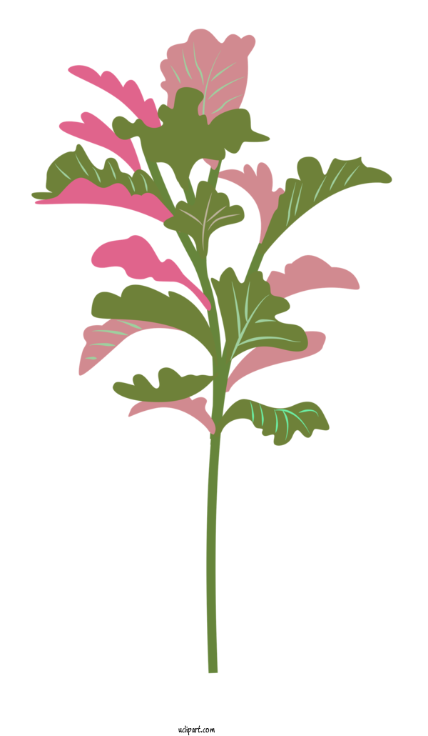 Free Nature Leaf Plant Stem Cut Flowers For Plant Clipart Transparent Background
