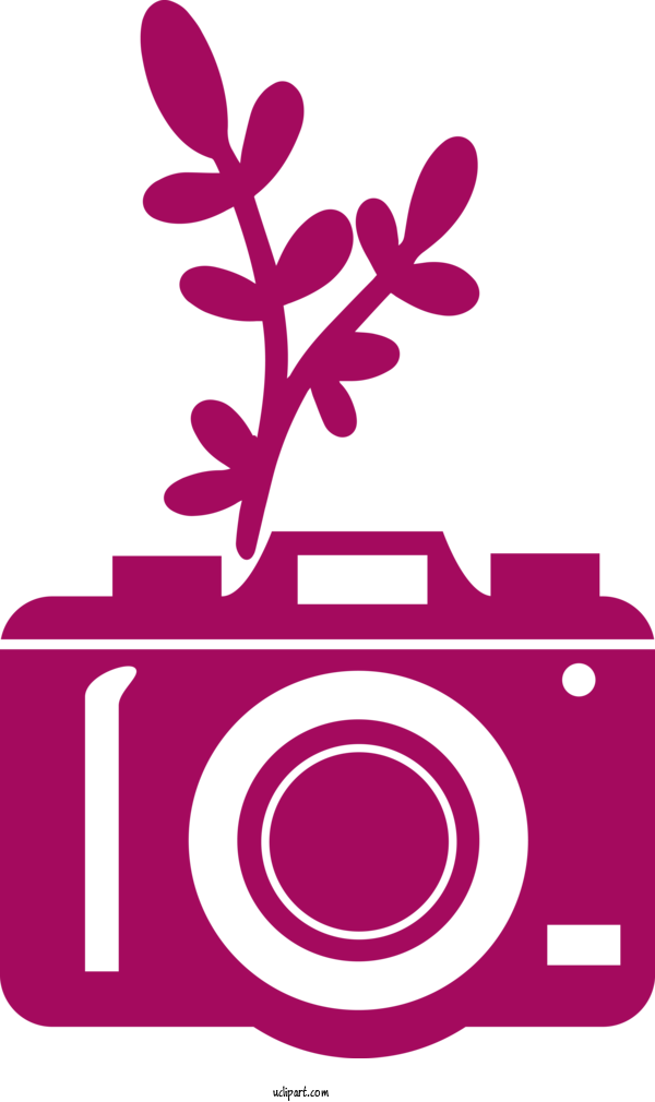 Free Life Flower Design Garden Roses For Camera Clipart Transparent Background