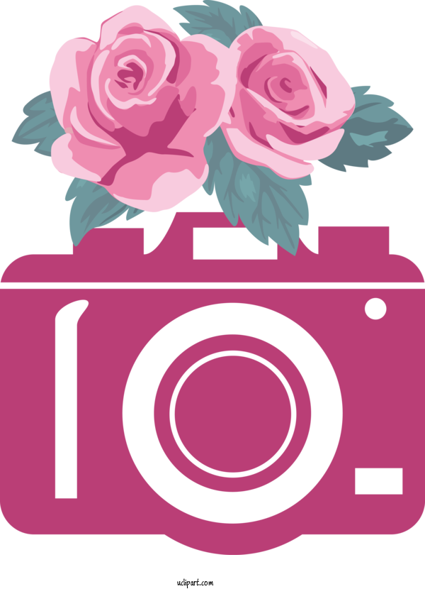 Free Life Rose Flower Watercolor Painting For Camera Clipart Transparent Background
