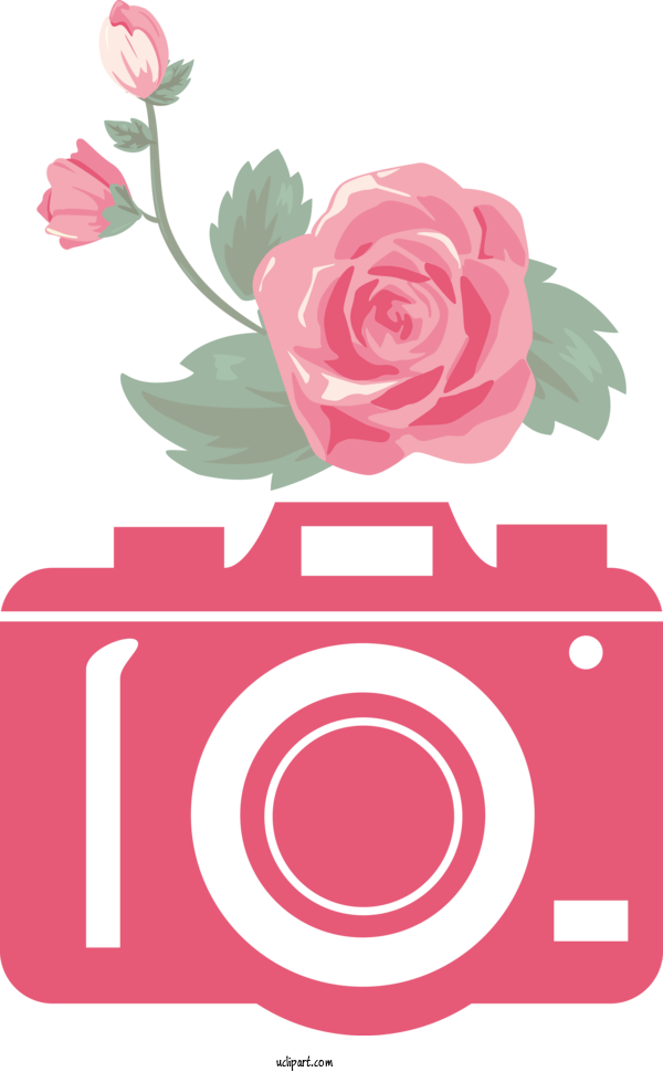 Free Life Floral Design Garden Roses Design For Camera Clipart Transparent Background