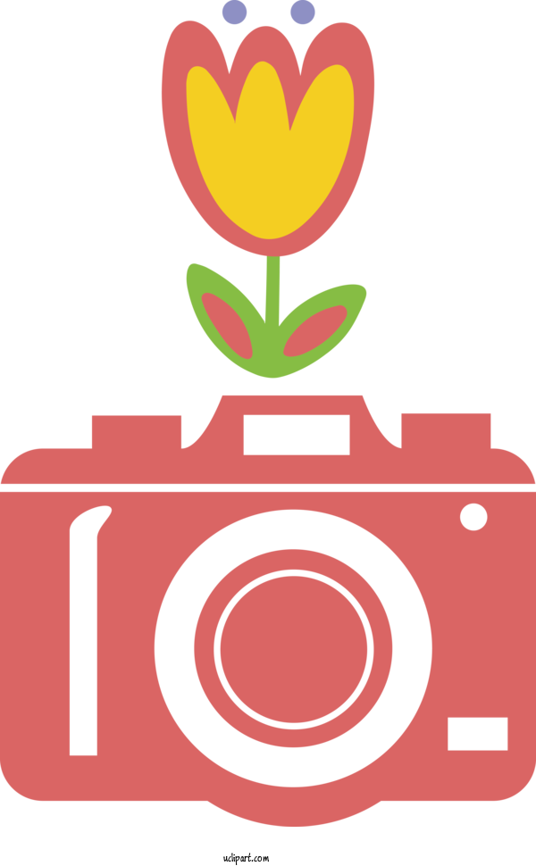Free Life Flower Floral Design Rose For Camera Clipart Transparent Background