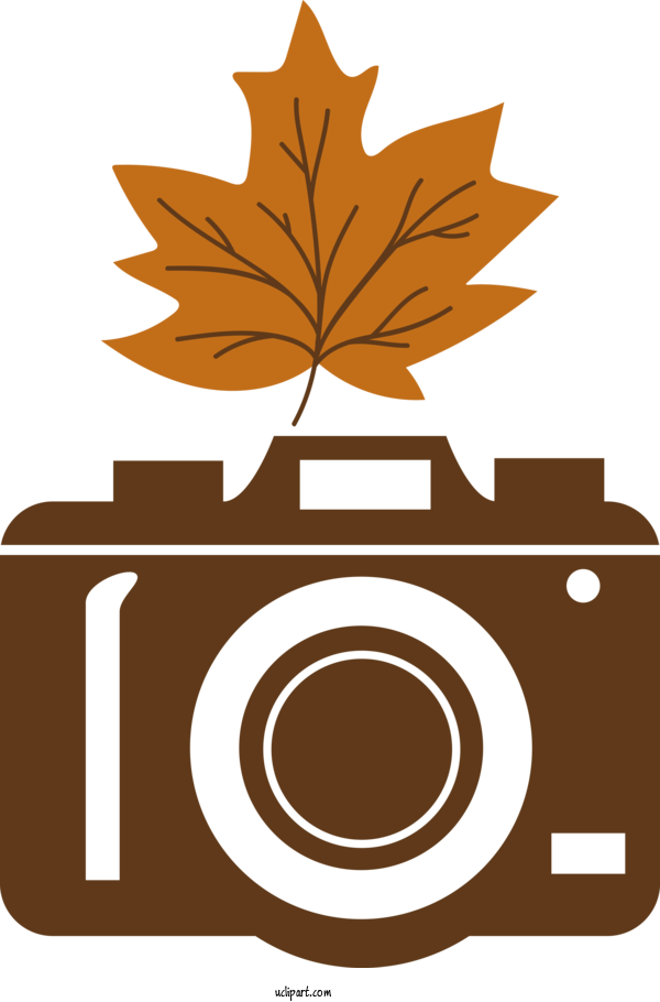 Free Life Drawing Leaf Line Art For Camera Clipart Transparent Background