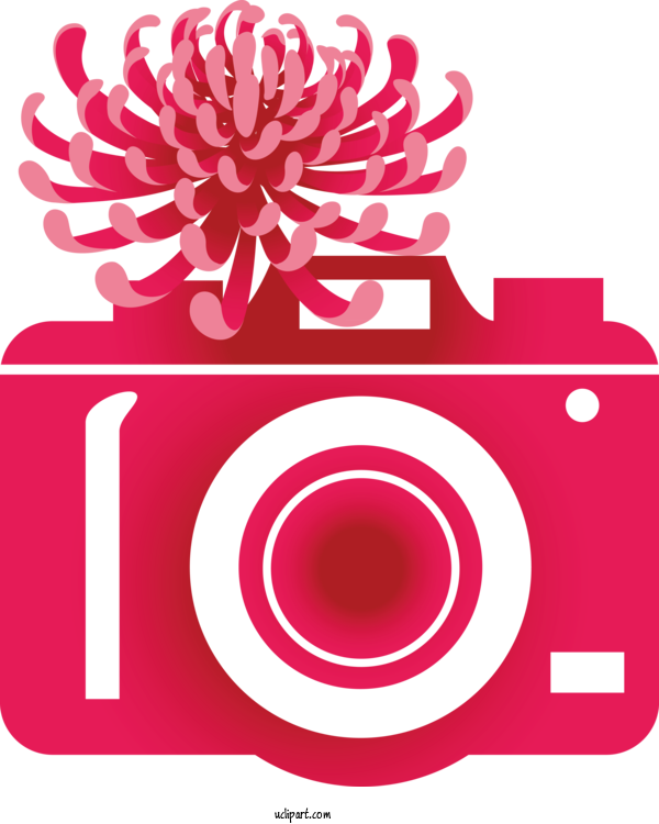 Free Life Flower Rose Floral Design For Camera Clipart Transparent Background