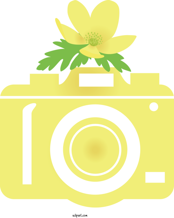 Free Life Floral Design Flower Petal For Camera Clipart Transparent Background