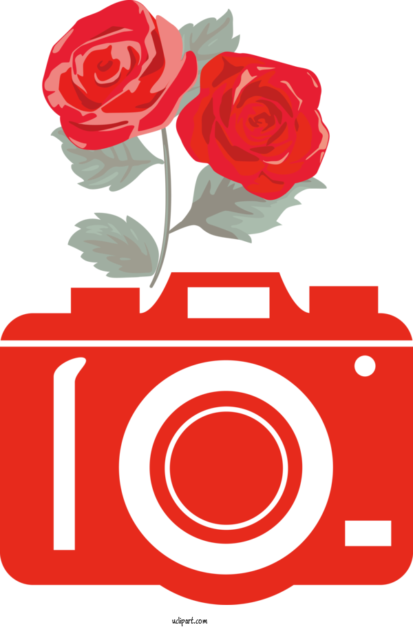 Free Life Rose Garden Roses Flower For Camera Clipart Transparent Background