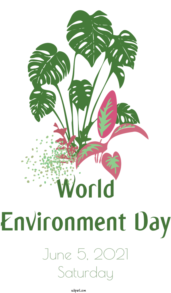 Free Holidays Leaf Plant Stem Flower For World Environment Day Clipart Transparent Background