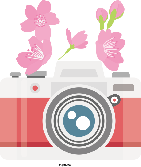 Free Life Floral Design Design Flower For Camera Clipart Transparent Background