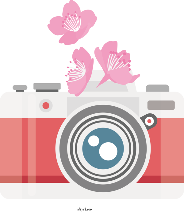 Free Life Flower Petal Floral Design For Camera Clipart Transparent Background