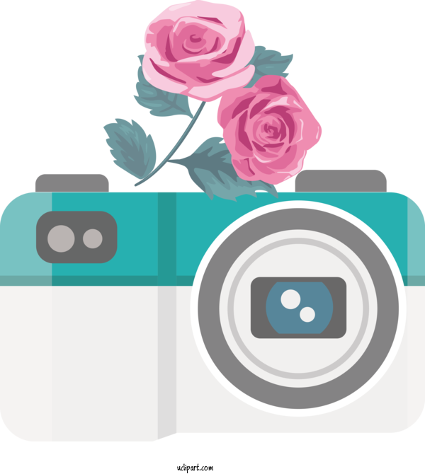 Free Life Design Rectangle Rose Family For Camera Clipart Transparent Background