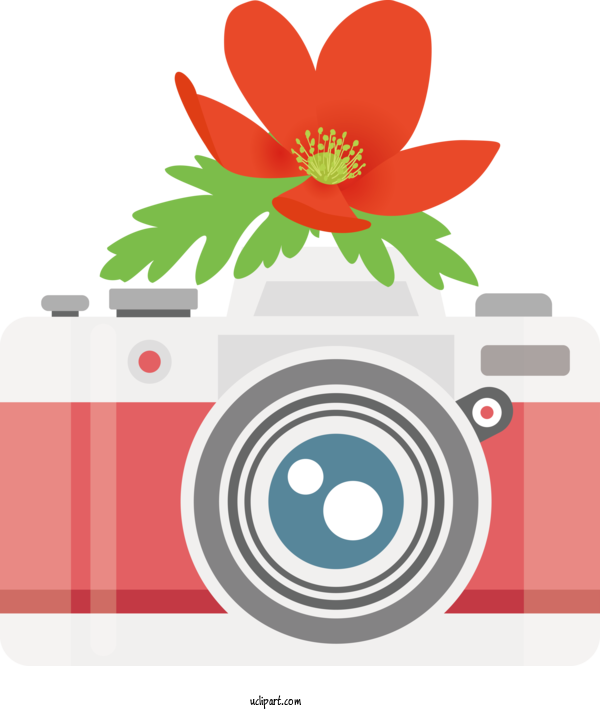 Free Life Flower Design Transparency For Camera Clipart Transparent Background
