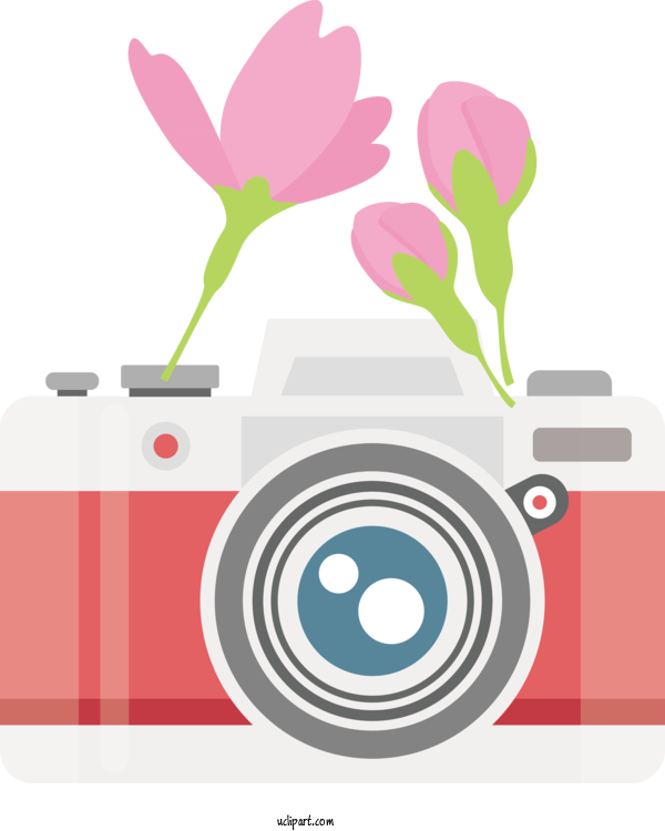 Free Life Flower Design Petal For Camera Clipart Transparent Background