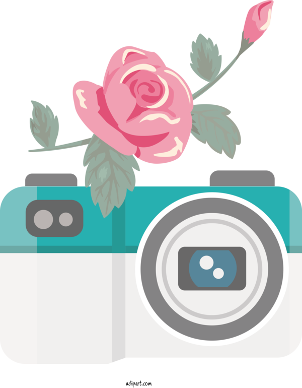 Free Life Design Floral Design Rose Family For Camera Clipart Transparent Background