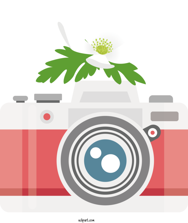 Free Life Design Floral Design Flower For Camera Clipart Transparent Background