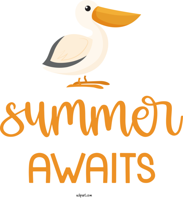 Free Nature Birds Ducks Beak For Summer Clipart Transparent Background
