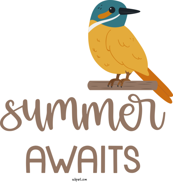 Free Nature Birds Logo Beak For Summer Clipart Transparent Background