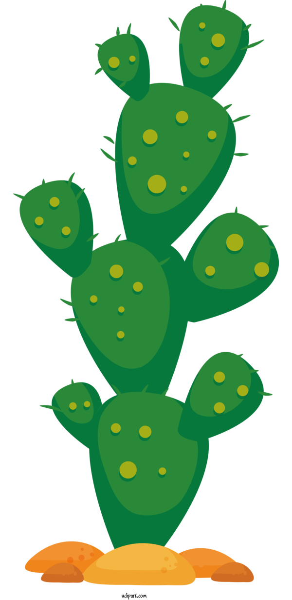 Free Nature Plant Stem Cartoon Tree Frog For Cactus Clipart Transparent Background