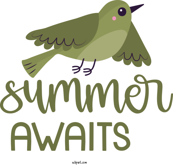 Free Nature Birds Logo Beak For Summer Clipart Transparent Background