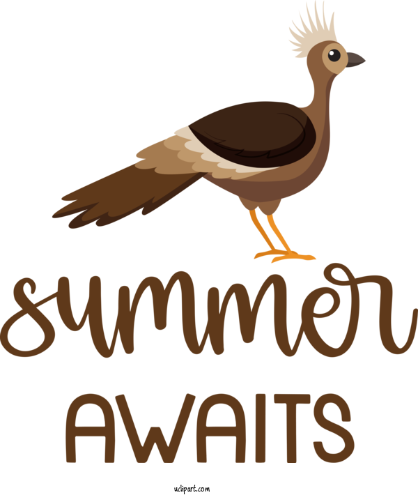 Free Nature Birds Duck Beak For Summer Clipart Transparent Background