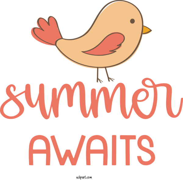 Free Nature Birds Cartoon Logo For Summer Clipart Transparent Background
