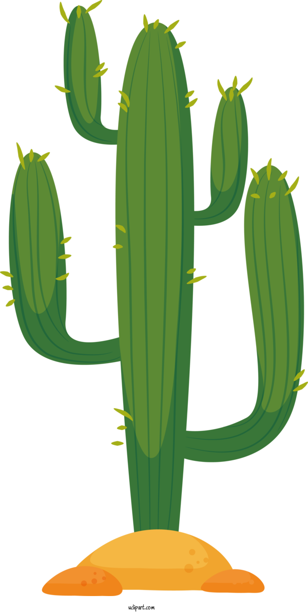 Free Nature Cactus Flowerpot Flower For Cactus Clipart Transparent Background