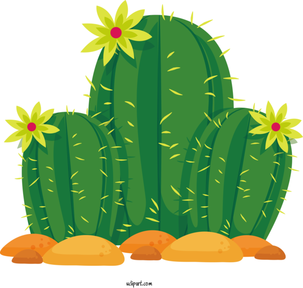 Free Nature Cactus Suculentaria Succulent Plant For Cactus Clipart Transparent Background