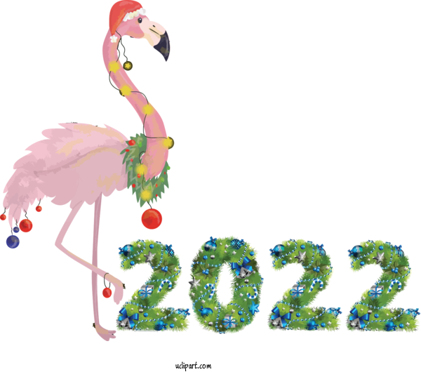 Free Holidays Birds Beak Water Bird For New Year 2022 Clipart Transparent Background
