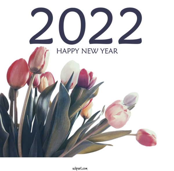 Free Holidays Flower Bouquet Sun City West Church Of Christ Flower For New Year 2022 Clipart Transparent Background