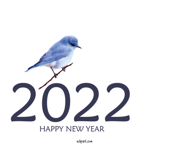 Free Holidays Birds Bluebirds Logo For New Year 2022 Clipart Transparent Background