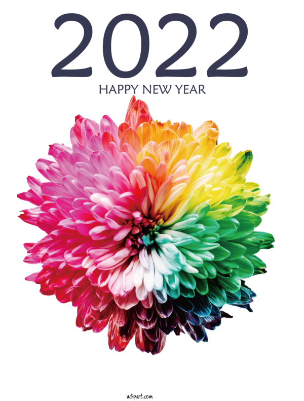Free Holidays Color Flower Rainbow Rose For New Year 2022 Clipart Transparent Background