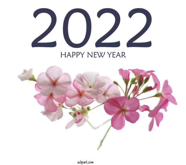 Free Holidays Floral Design Herbaceous Plant Moth Orchids For New Year 2022 Clipart Transparent Background