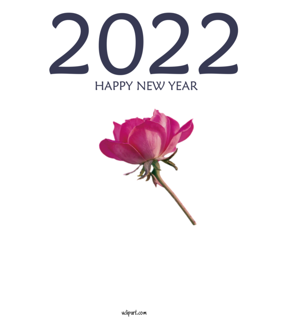 Free Holidays Plant Stem Cut Flowers Rose Family For New Year 2022 Clipart Transparent Background