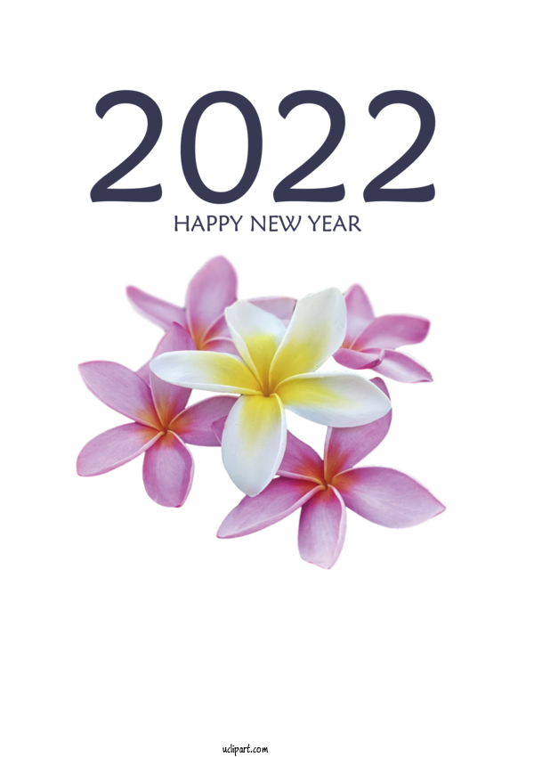 Free Holidays Violet Flower Moth Orchids For New Year 2022 Clipart Transparent Background