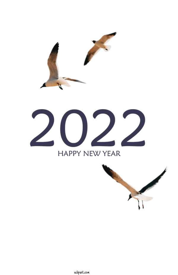 Free Holidays Birds Bird Migration Seabird For New Year 2022 Clipart Transparent Background