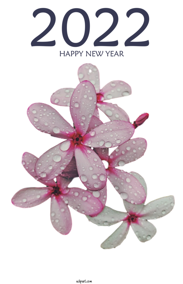 Free Holidays Flower Petal Meter For New Year 2022 Clipart Transparent Background