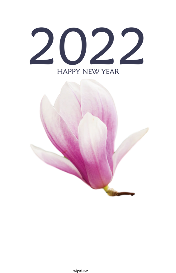 Free Holidays Herbaceous Plant Magnolia Violet For New Year 2022 Clipart Transparent Background