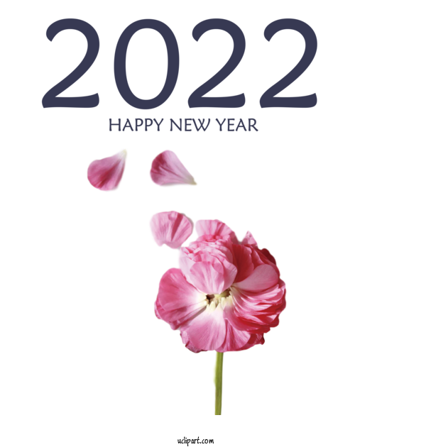 Free Holidays Cut Flowers Herbaceous Plant Moth Orchids For New Year 2022 Clipart Transparent Background