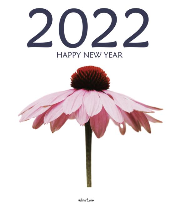 Free Holidays Morishige JT Wave It”s A Feeling For New Year 2022 Clipart Transparent Background