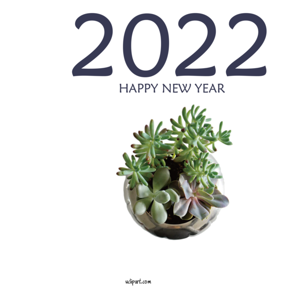 Free Holidays Plant Cactus Flowerpot For New Year 2022 Clipart Transparent Background