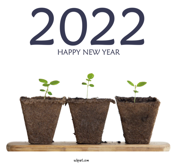 Free Holidays Succulent Plant Nursery Houseplant For New Year 2022 Clipart Transparent Background