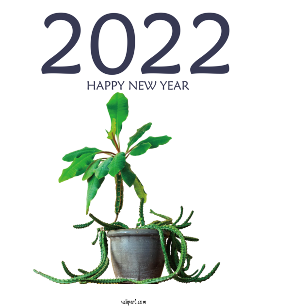 Free Holidays Leaf Plant Stem Flower For New Year 2022 Clipart Transparent Background