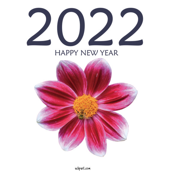 Free Holidays Dahlia Cut Flowers Flower For New Year 2022 Clipart Transparent Background