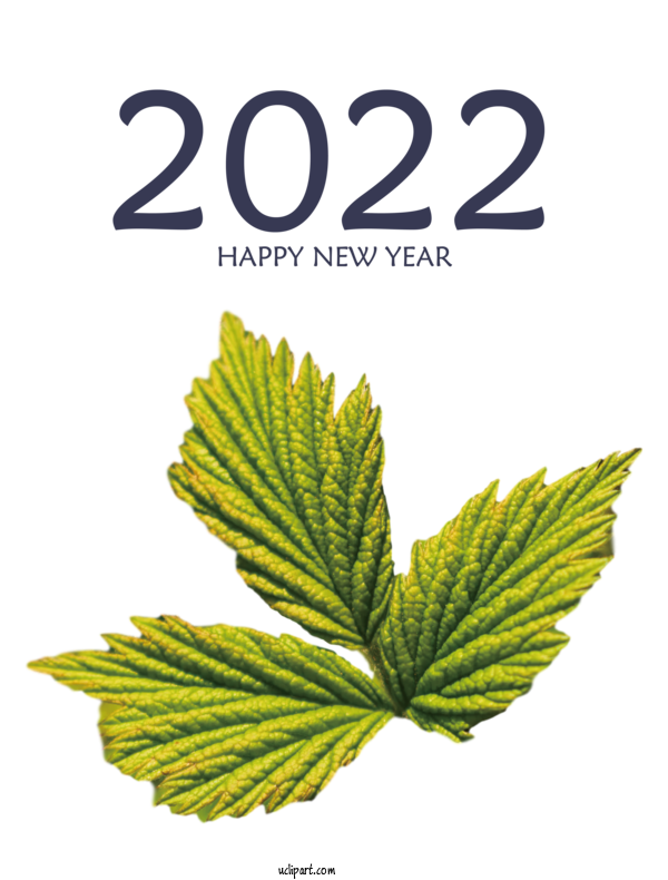 Free Holidays Leaf Herbal Medicine Meter For New Year 2022 Clipart Transparent Background