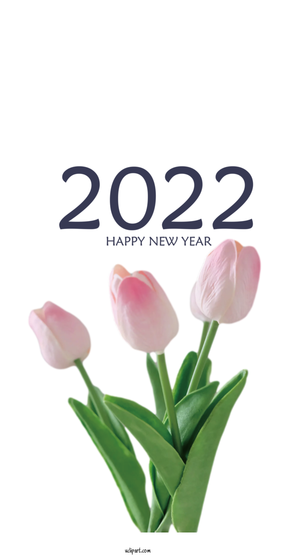 Free Holidays Plant Stem Cut Flowers Tulip For New Year 2022 Clipart Transparent Background