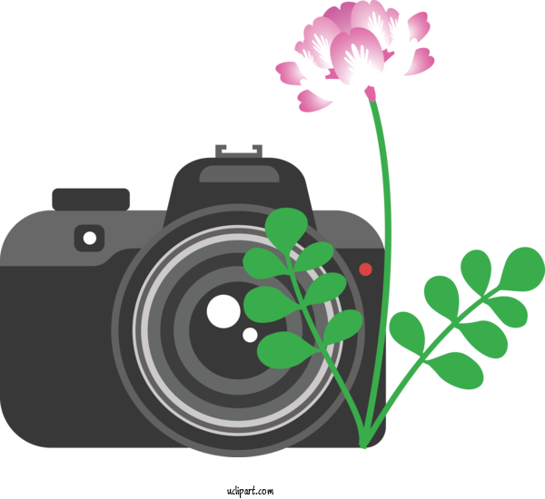 Free Life Plant Stem Leaf Herbaceous Plant For Camera Clipart Transparent Background