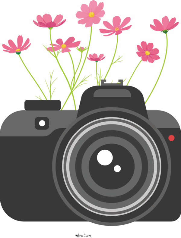 Free Life Flower Floral Design Floristry For Camera Clipart Transparent Background