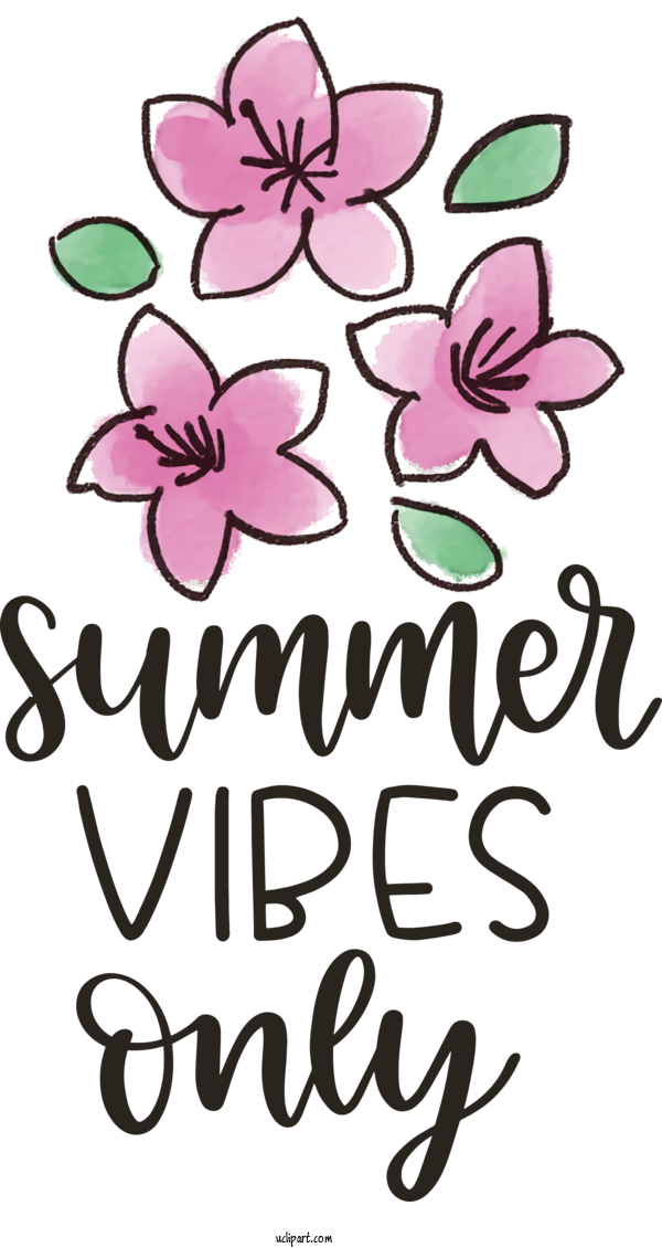 Free Nature Floral Design Herbaceous Plant Design For Summer Clipart Transparent Background