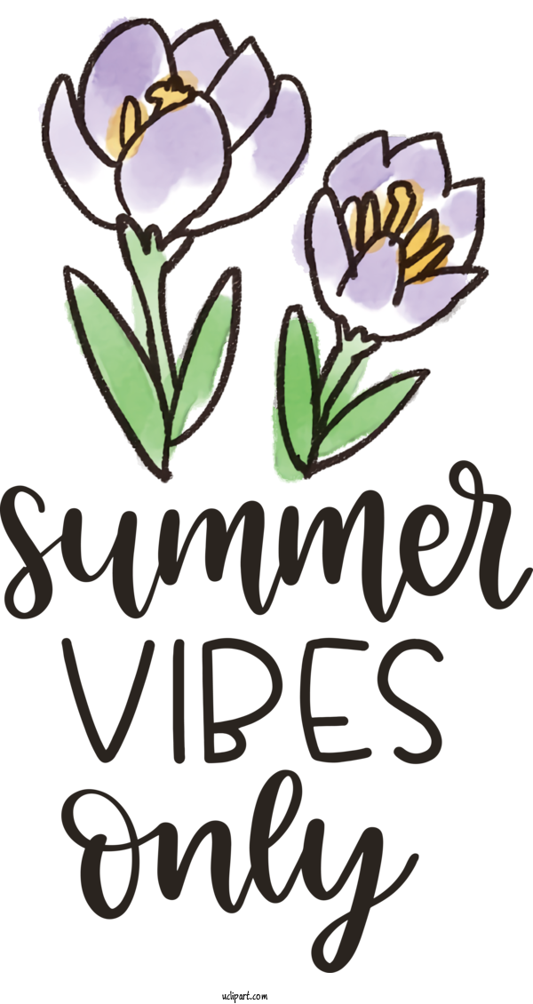 Free Nature Plant Stem Cut Flowers Floral Design For Summer Clipart Transparent Background